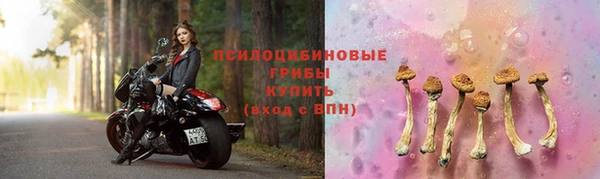 спайс Алексин