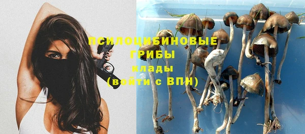 соль курить ск Алексеевка